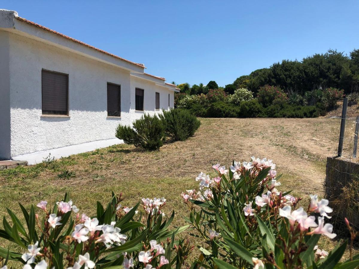 Villa Rosa Valledoria (Sardinia) Exterior foto